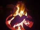 Fire pit provided with plenty of wood to burn