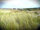 The dunes towards the village