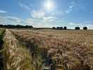 Walk across fields