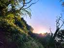 View from tent