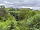 View from the site