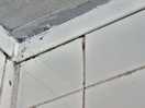 Shower ceiling