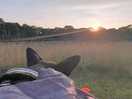 Sunset from our pitch