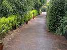 Walking to the bar