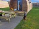 Our pod