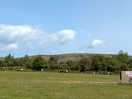 View from pitch