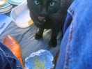 Our little friend