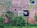 Toilet block is accessed through stable yard, through a small gate.