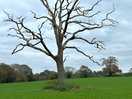 Walk in the country
