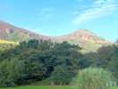 Site