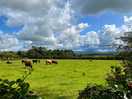 Lovely views