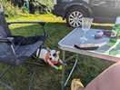 Daisy the happy camper. plenty of dog poo bins on site