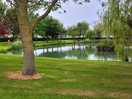 Beautfull lake