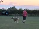 Dog friendly
