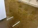 Flooding which absolutely smelt awful!