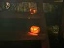 Woodpecker shepherds hut | munchkin pumpkins