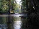 River view camping
