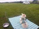 Very peaceful view the dog loved it!