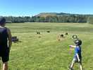 Dog park