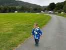 Walking to get milk from the vending machine.