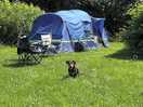 Tent pitch
