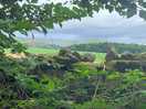 Amazing views