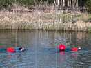 More swimmers at lake