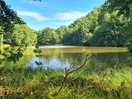 Lovely lake