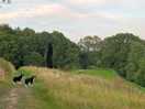 The meadow and hill down from the car park