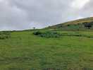 Dartmoor
