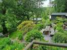 Beer garden