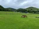 Large grass area with picnic benches near sheep field.