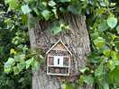 Bug hotel