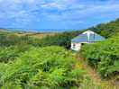 The yurt we staying in, this view walking down to it