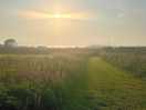 Sundown