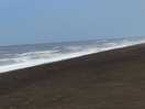 Local beach