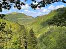 Views from devils bridge falls