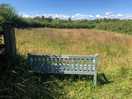 Wildflower meadow