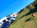 View of motorhome pitches