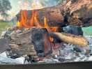 Pit fires and logs available