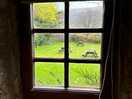 Garden through the window