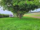 Campervan and motorhome pitches