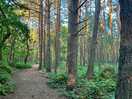 Walking