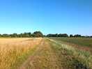 Great walks