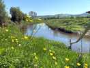 Down river