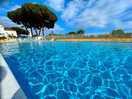 Fabulous pool