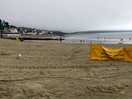 Lyme regis
