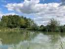 Pond