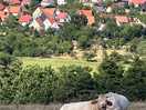 The vieuw