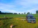 Camperplaats, hondvriendelijk